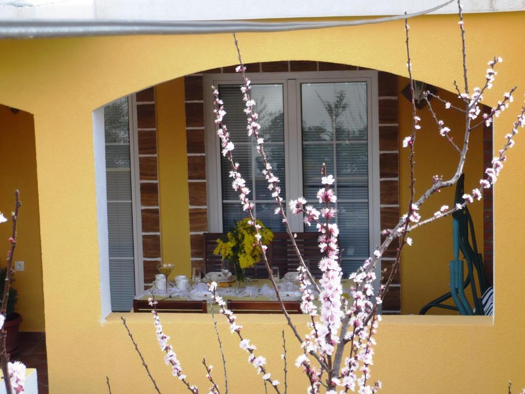 Apartments Brac 苏佩塔尔 客房 照片